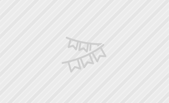 阿賀野川あきはなびまつり